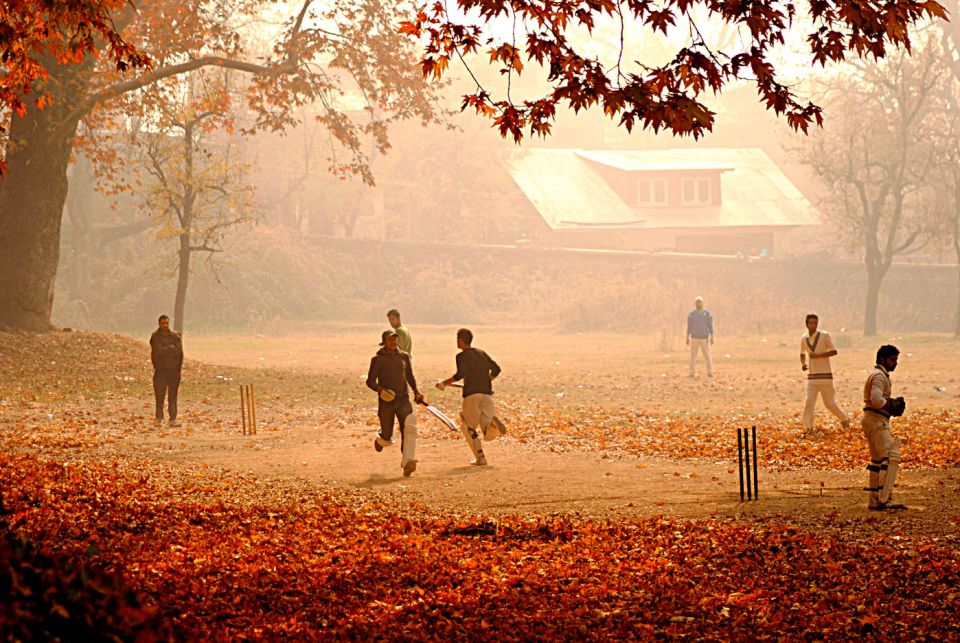 In the shade of the chinars: Nishat Garden in Srinagar
