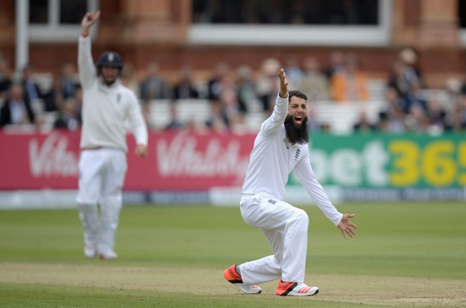 Moeen Ali is the incumbent spinner in England's Test side