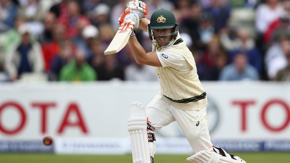 But David Warner counterattacked with a 35-ball half-century