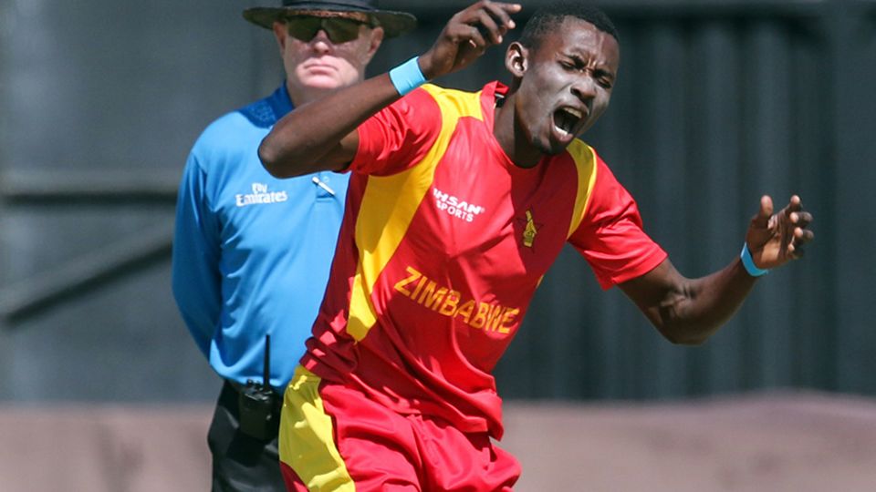 Zimbabwe's bowlers are getting far more miles in their legs this year