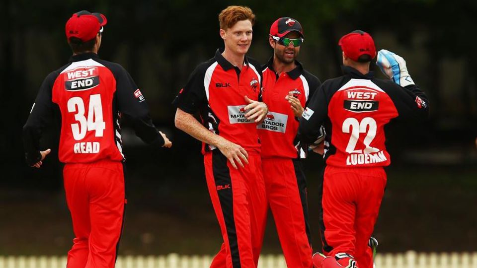 Left-arm spinner Tom Andrews has been called up to South Australia's squad for the Sheffield Shield final