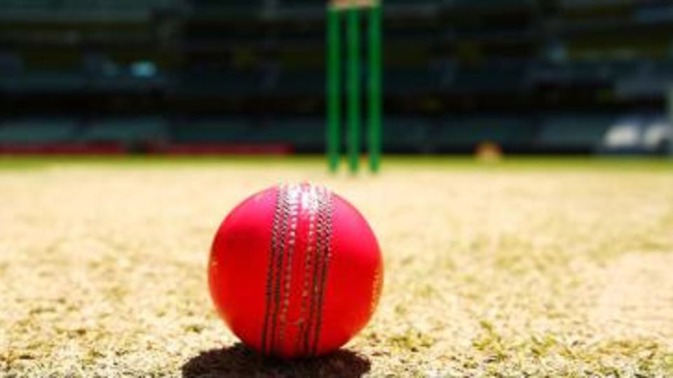 A pink ball on the pitch at the MCG