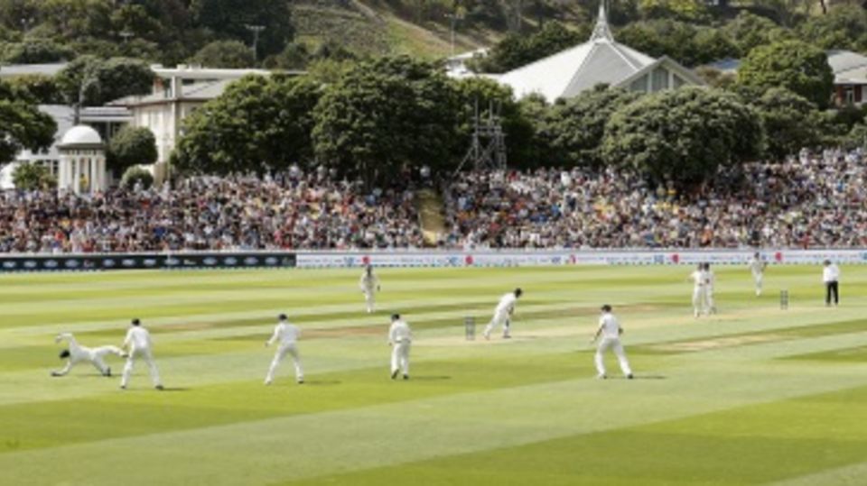 A packed Basin Reserve crowd watches Peter Nevill pull off a stunner
