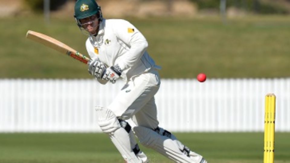 Marcus Stoinis scored a century in the first innings