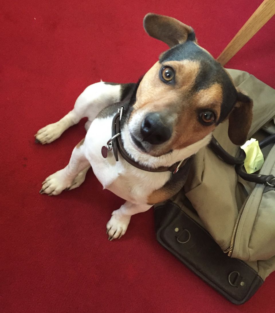 I believe in you: the perfect companion when filing stories on deadline