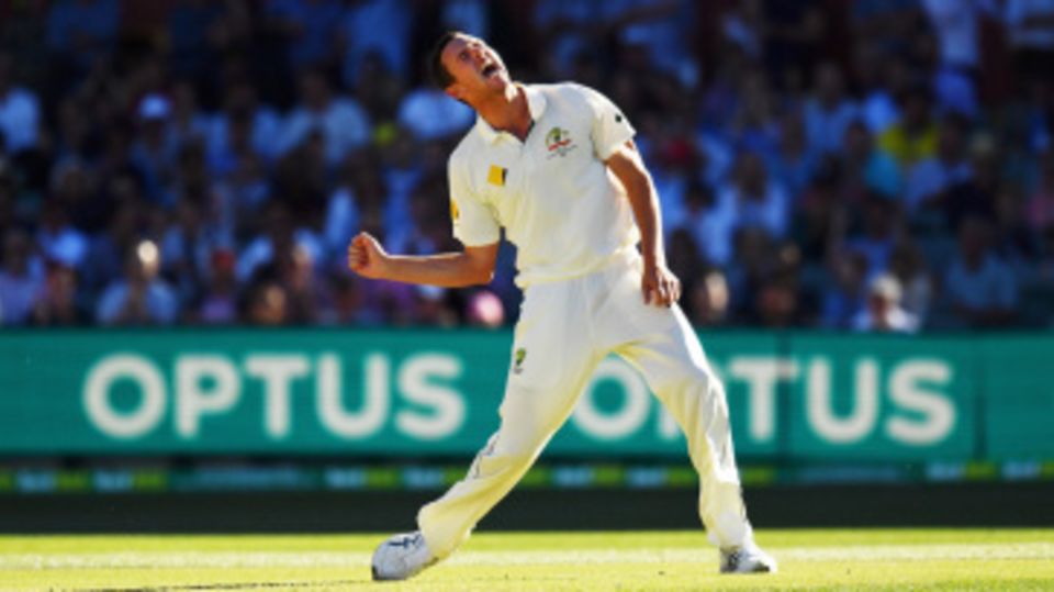 Josh Hazlewood roars after getting rid of Hashim Amla