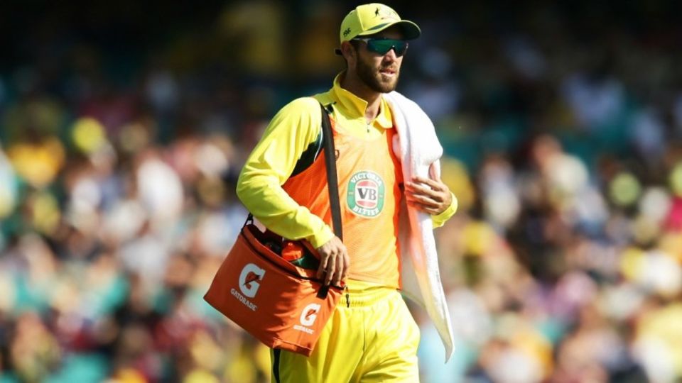 Dean Jones on Glenn Maxwell: 'At the top of his game, he's in our team, first pick, and I think he's going to India'