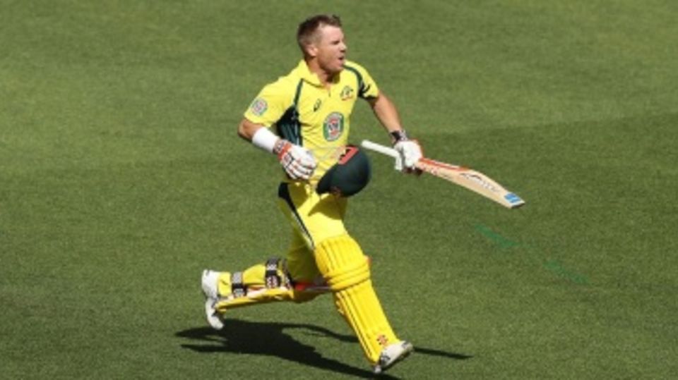 David Warner is ecstatic after raising his seventh ODI century of the year