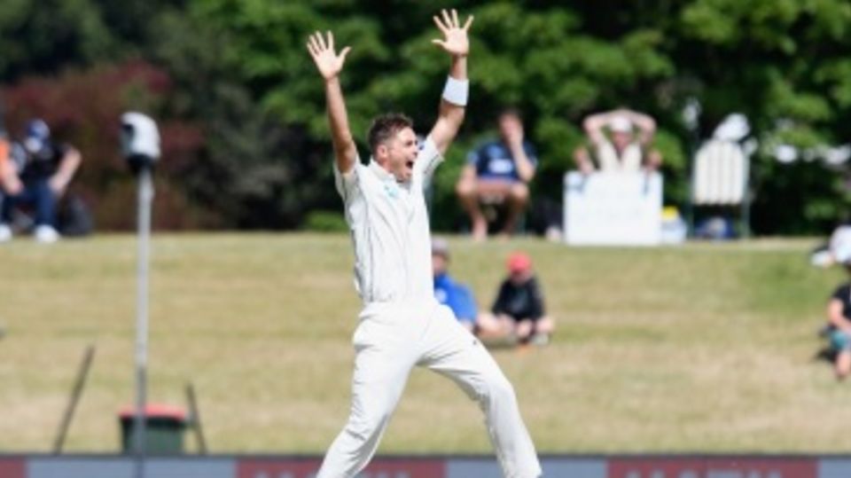 Tim Southee whirls around for an appeal
