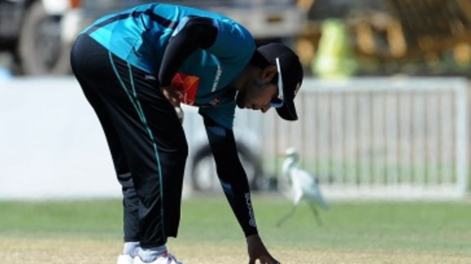 Mushfiqur Rahim inspects the Galle pitch