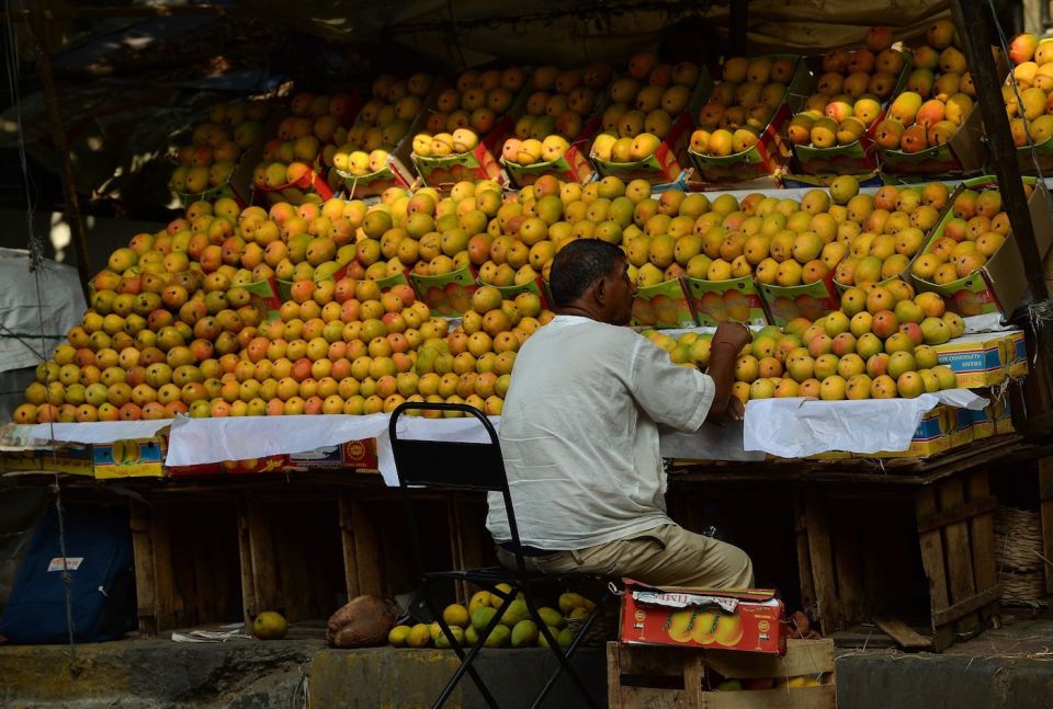 1500 varieties of mangoes, 1500 reasons to fight about which one is the best