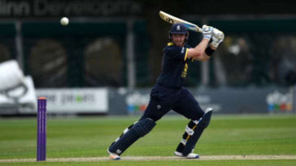 Ian Bell struck a delightful hundred for Warwickshire