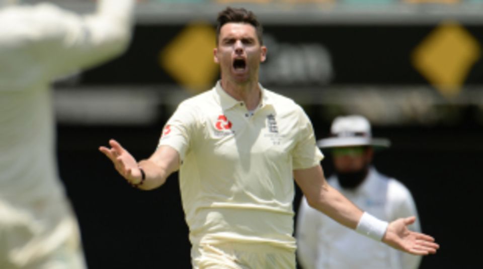 James Anderson is ecstatic after sniping out Tim Paine