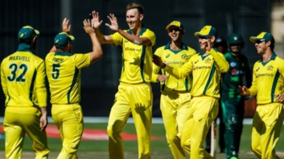 Billy Stanlake celebrates with his team-mates after a wicket