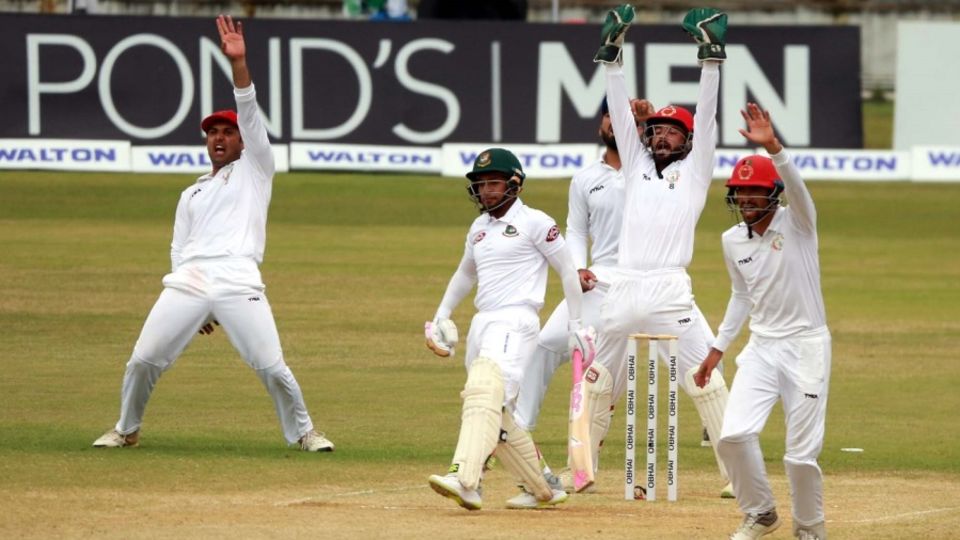 The Afghanistan close-in fielders go up in appeal against Mushfiqur Rahim