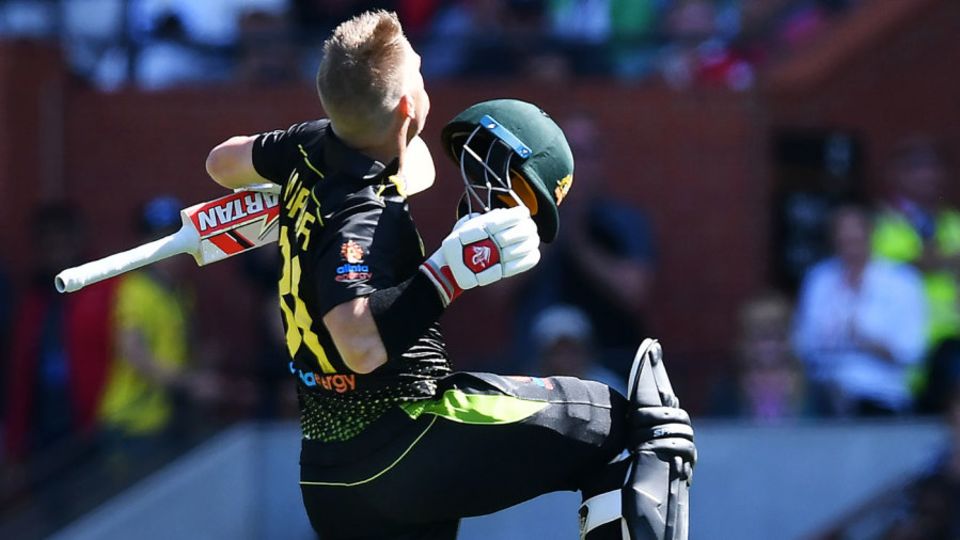 Jumping for joy: David Warner reaches his maiden T20I century