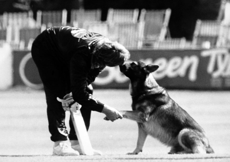 Ian Botham makes a pawsome new friend in Hove.