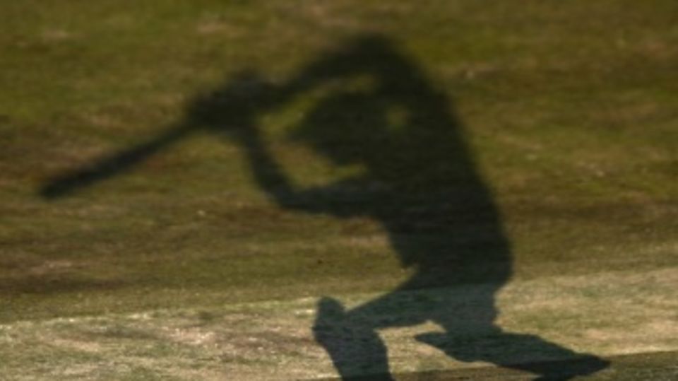 A generic batter shadow in the nets