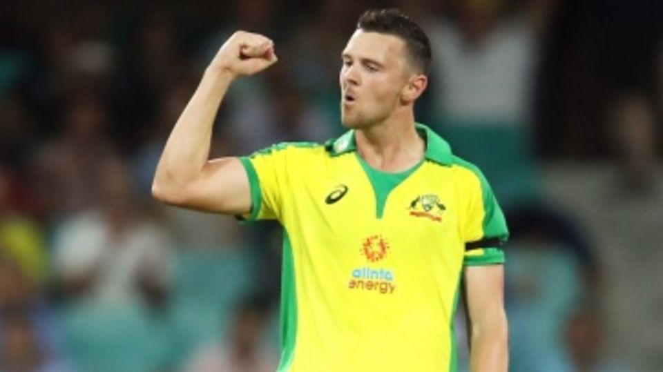 A fist pump after a successful over for Josh Hazlewood