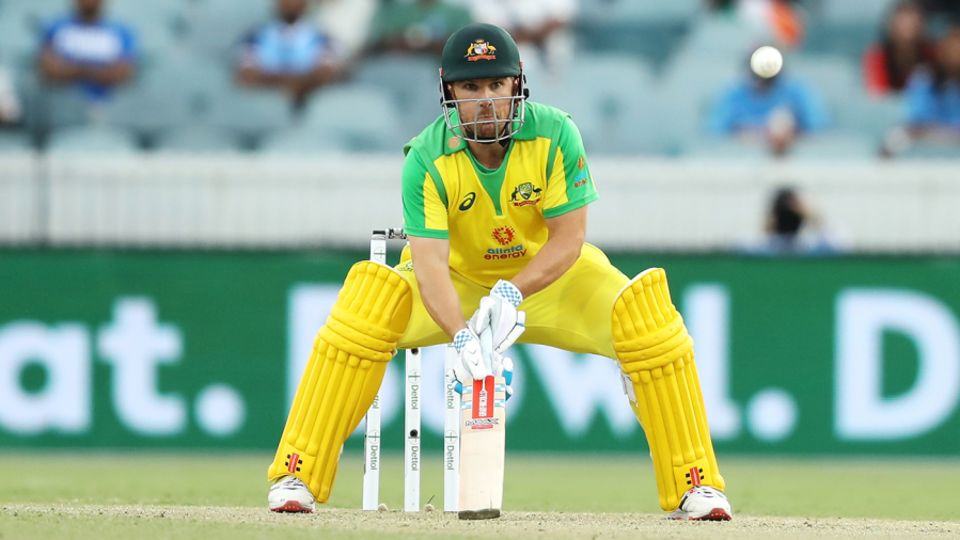 Aaron Finch will be back in Australia colours at the end of February