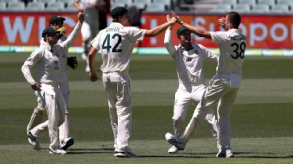 Josh Hazlewood celebrates one of his five wickets on the third day