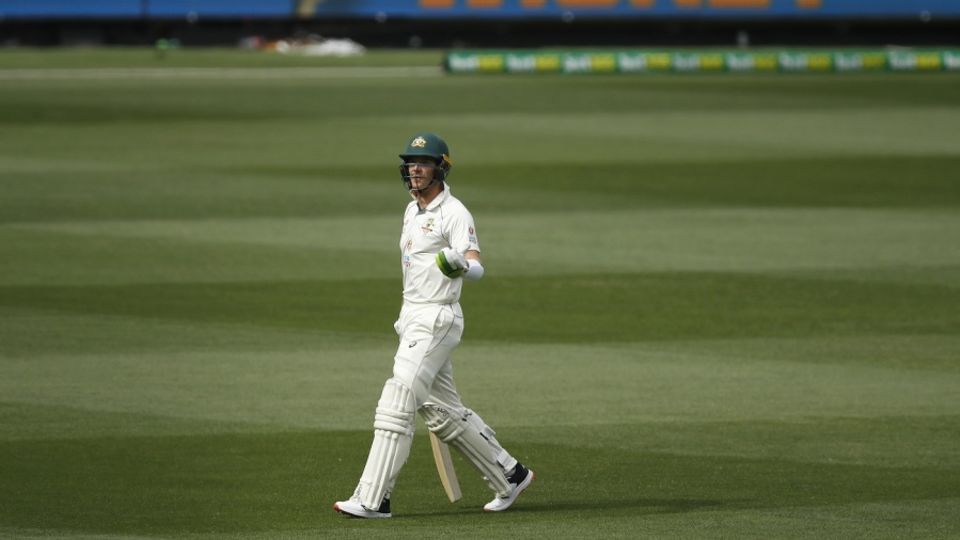 'What's happening here?' - Tim Paine seems to ask as he's walking off