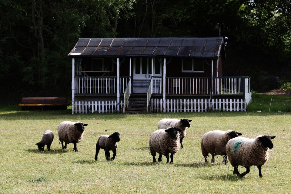 Friendly neighbours of the Wookey Hole Cricket Club swing by to help the ground staff
