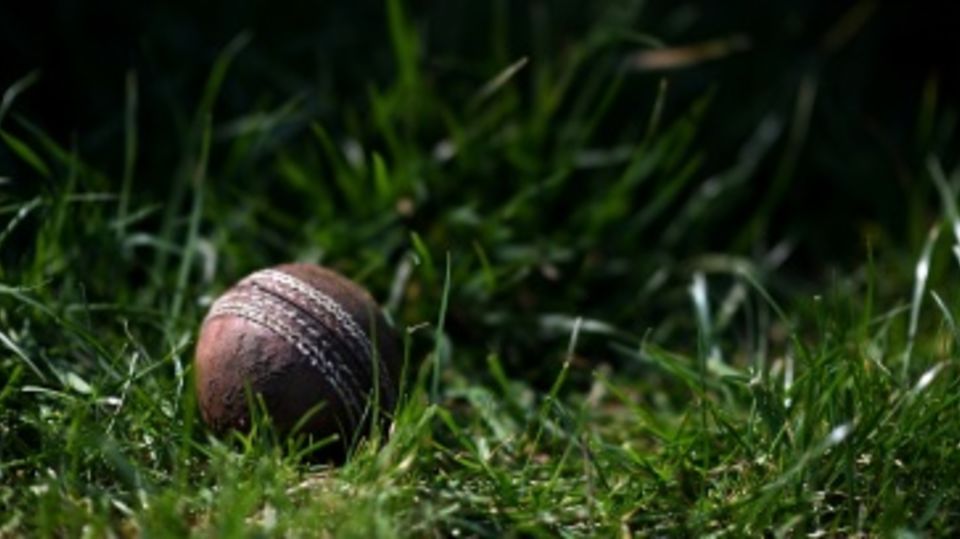 Generic cricket ball