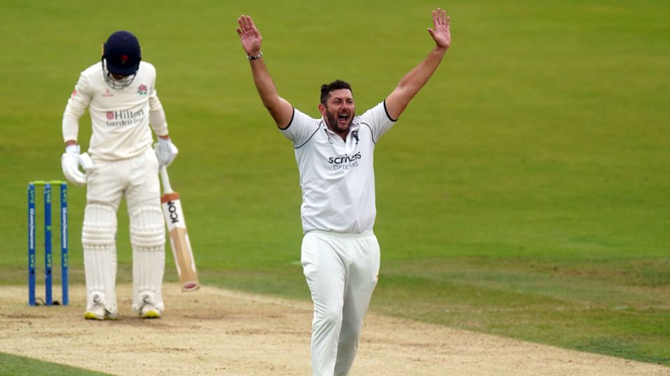 Tim Bresnan belts out an appeal