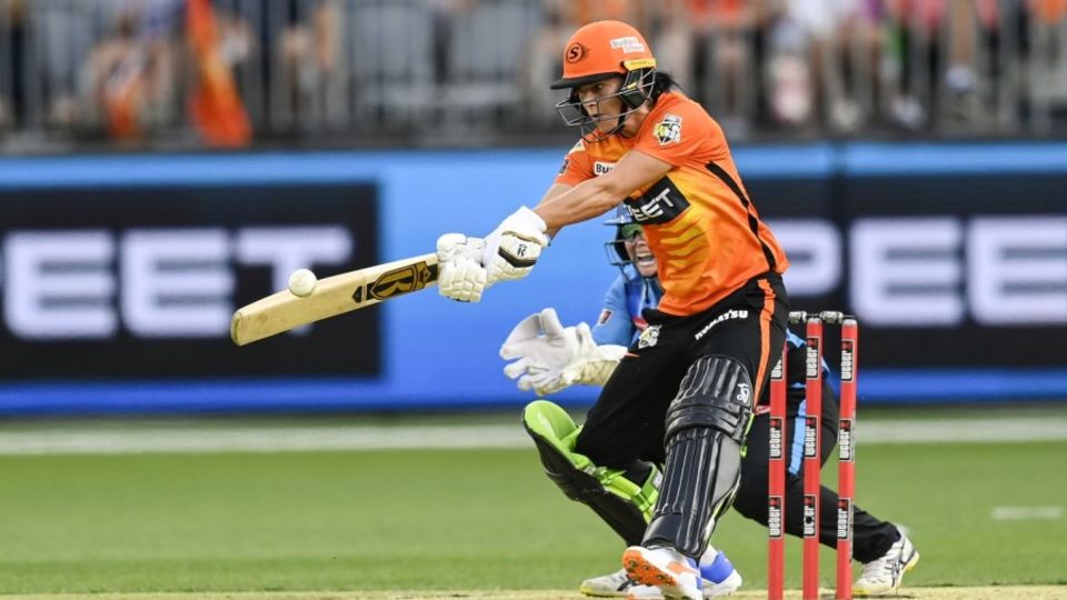 Marizanne Kapp has a fantastic record of winning domestic tournaments