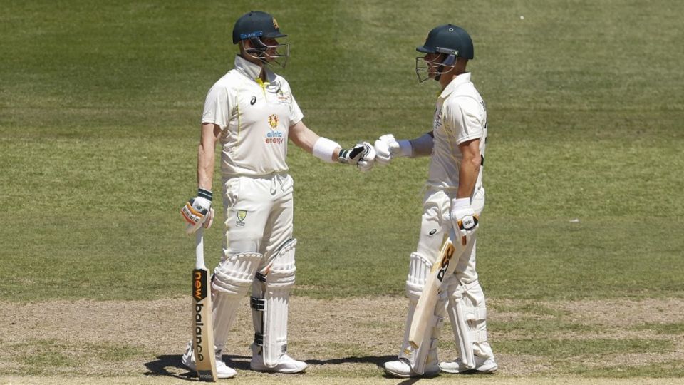 Steven Smith and David Warner carved South Africa apart in a 239-run stand to bring them to their knees