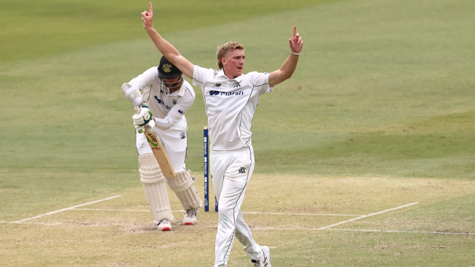 Will Sutherland had a breakthrough Sheffield Shield season