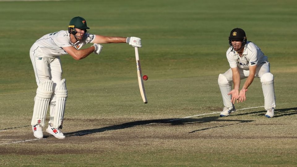 Beau Webster hung on to help Tasmania draw