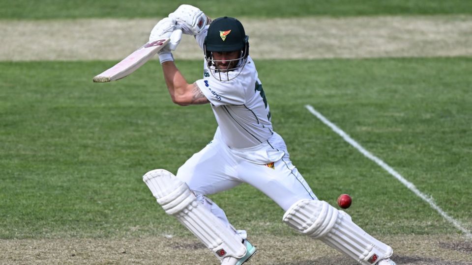 Tasmania will be boosted by the presence of Matthew Wade