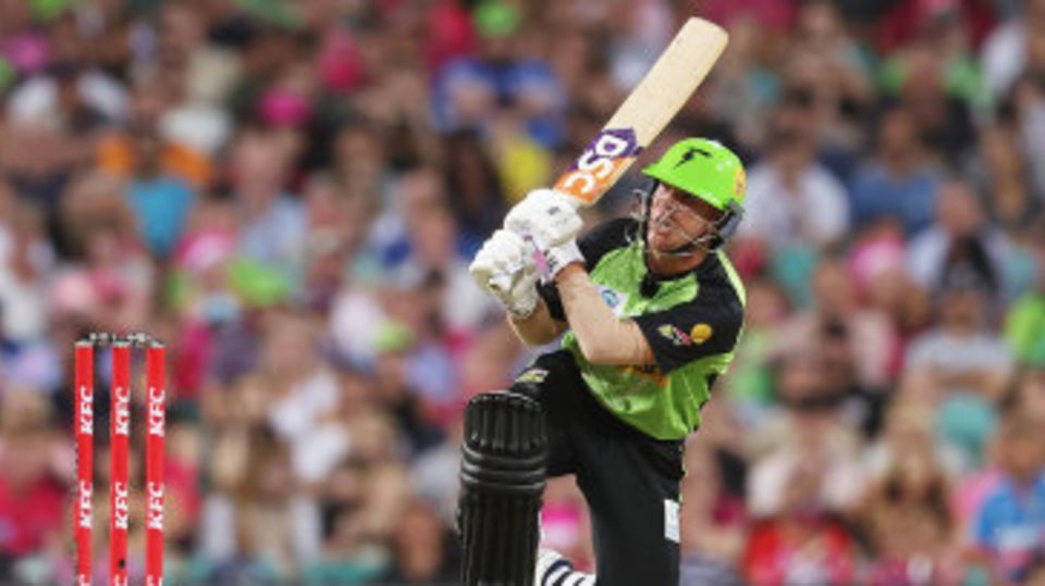 David Warner was back in green for Sydney Thunder