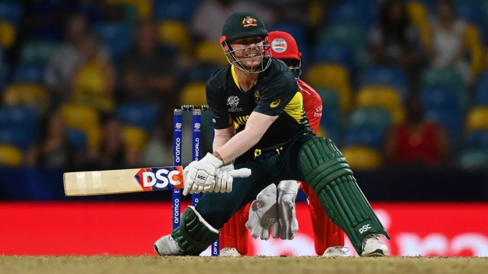 David Warner played an important innings against Oman