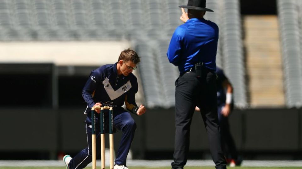 Todd Murphy celebrates a wicket on his return to action for Victoria