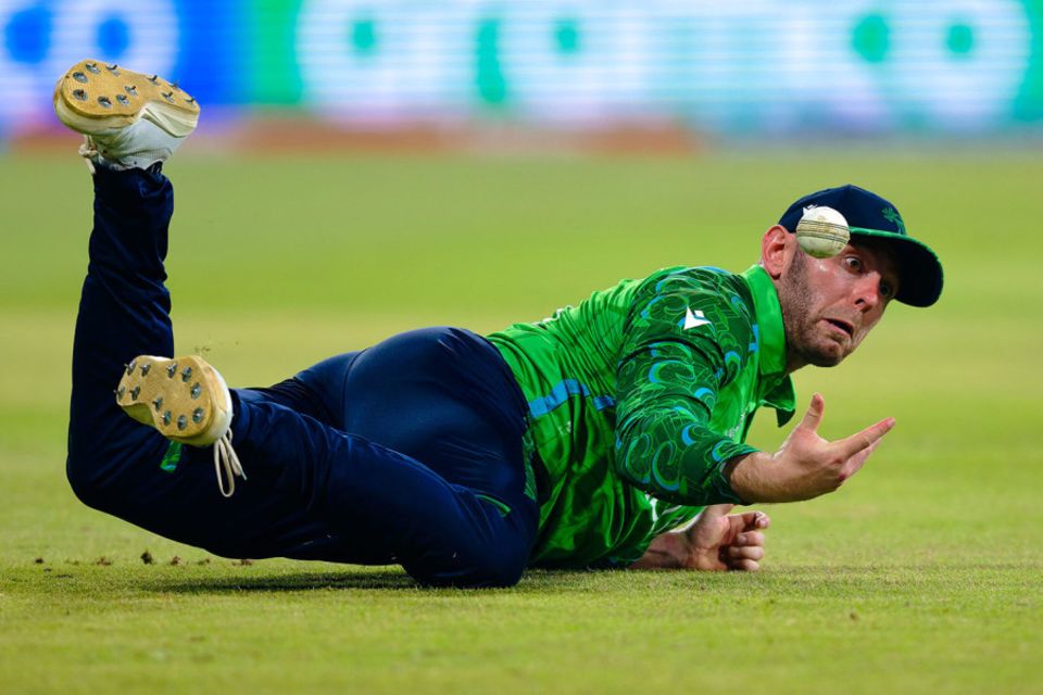 Frequent dropped catches have marred Ireland's World Cup