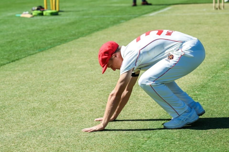 Some coaches worry that the Shield's greentops don't allow bowlers to develop extra pace and bounce