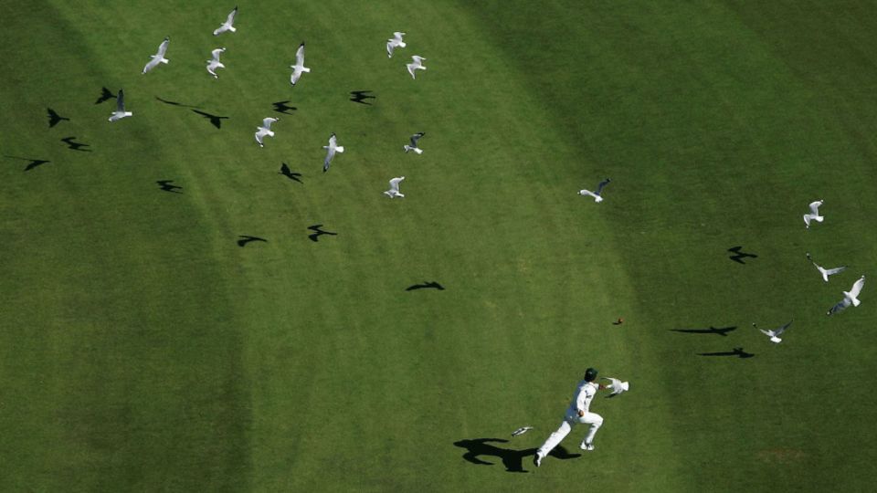 The WACA's seagulls made sure Pakistan's game never got off the ground