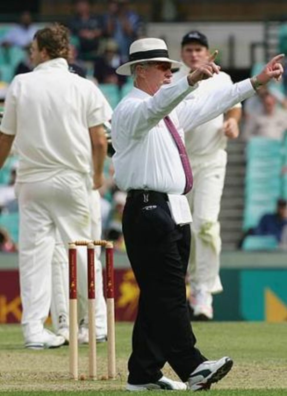 Television forced the authorities to bring in the third umpire