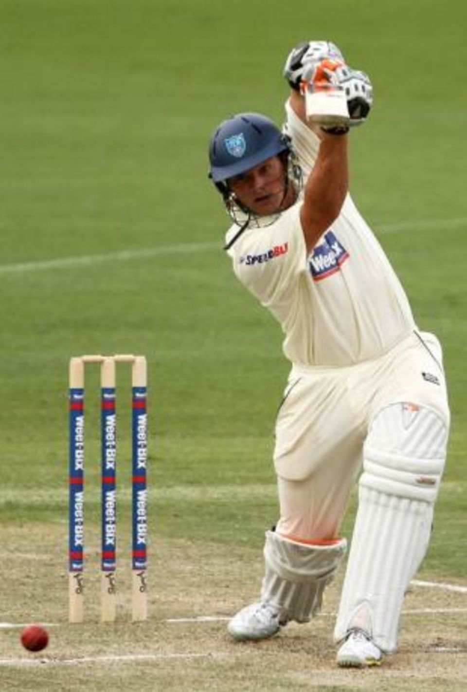 Peter Forrest has played 31 first-class games over five seasons