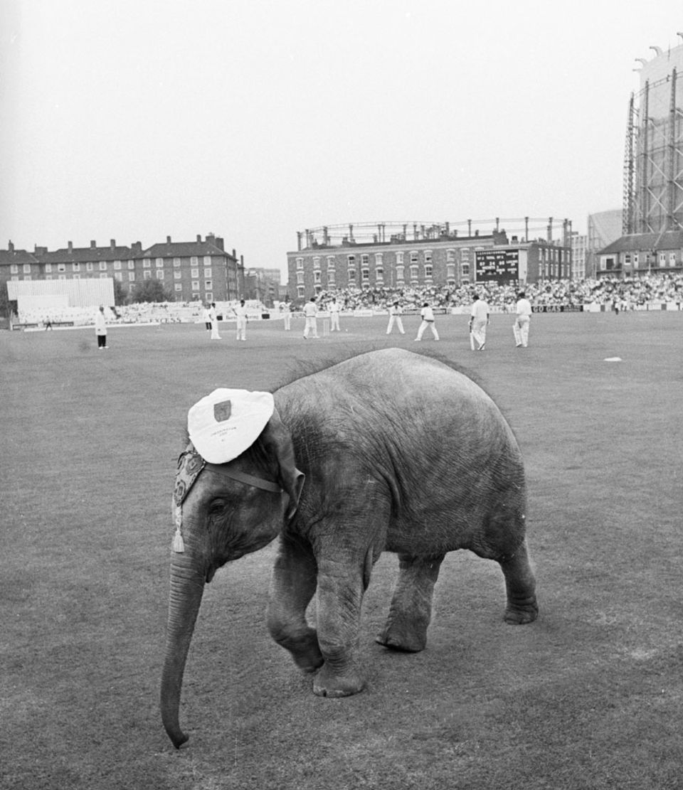 Bella, an Indian elephant from Chessington Zoo, makes an appearance on the final day, as part of a celebration of the Indian festival of Ganesh Chaturthi