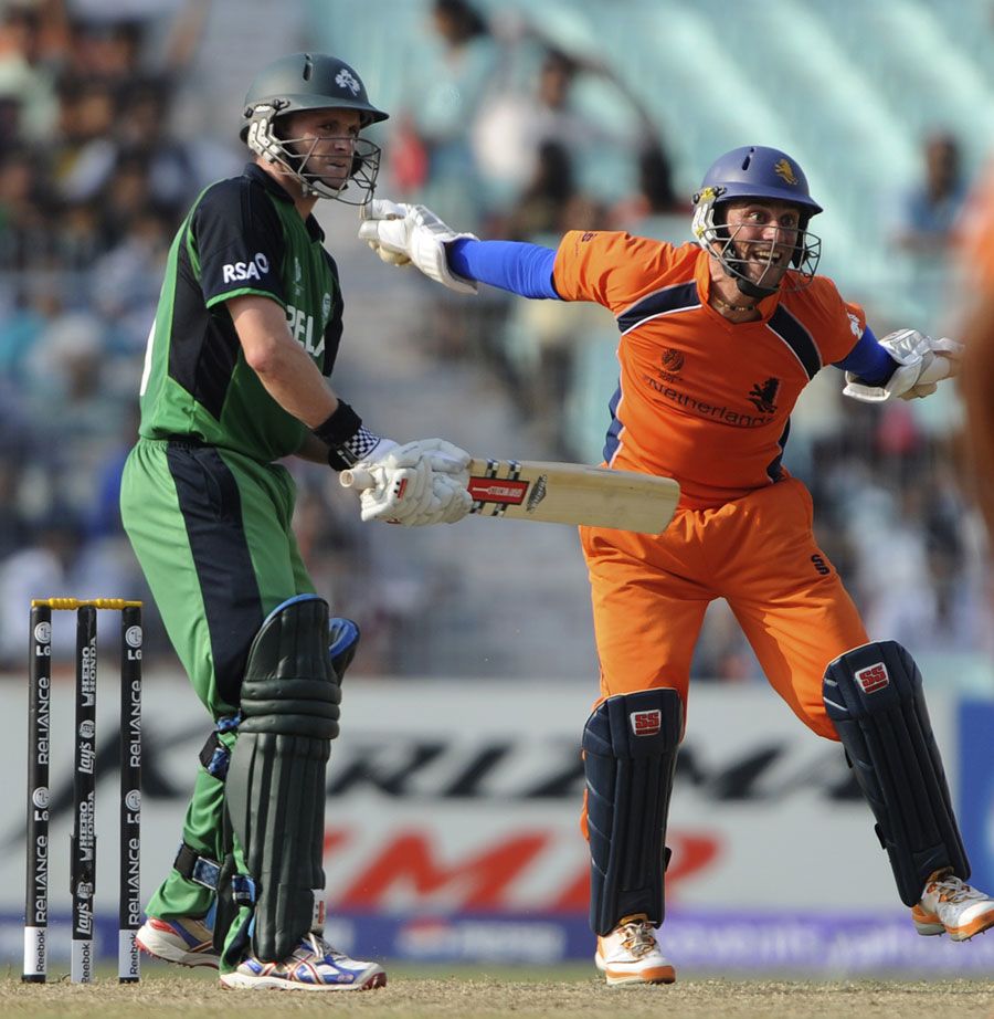 Atse Buurman is thrilled after taking a catch to dismiss William Porterfield