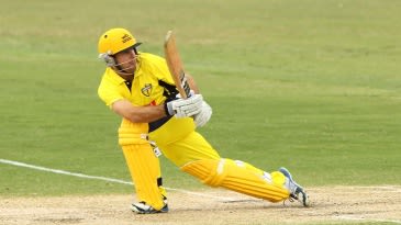 Davis, Coulter-Nile help WA to victory
