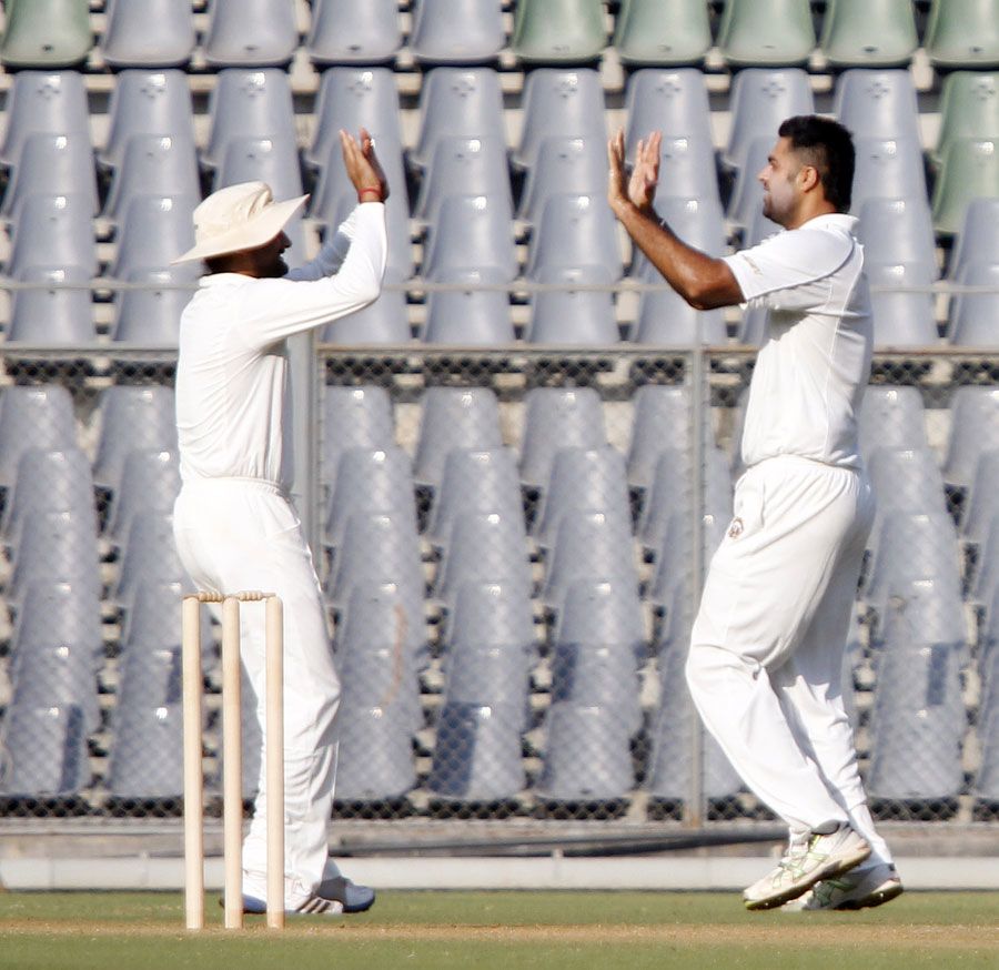 Manpreet Gony and Harbhajan Singh celebrate taking a wicket