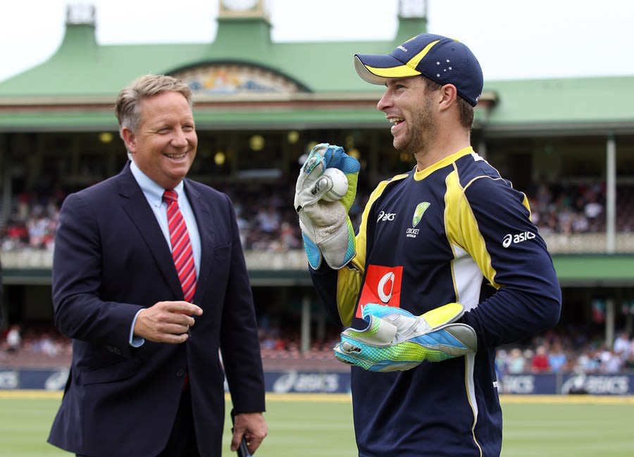 Ian Healy and Matthew Wade