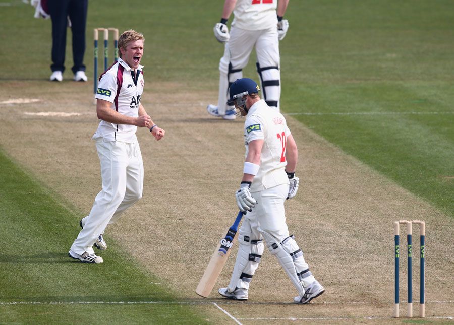David Willey celebrates taking the wicket of Ben Wright