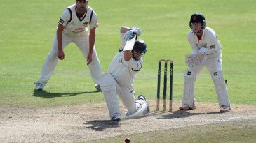 Ireland lifts Leicestershire with maiden fifty