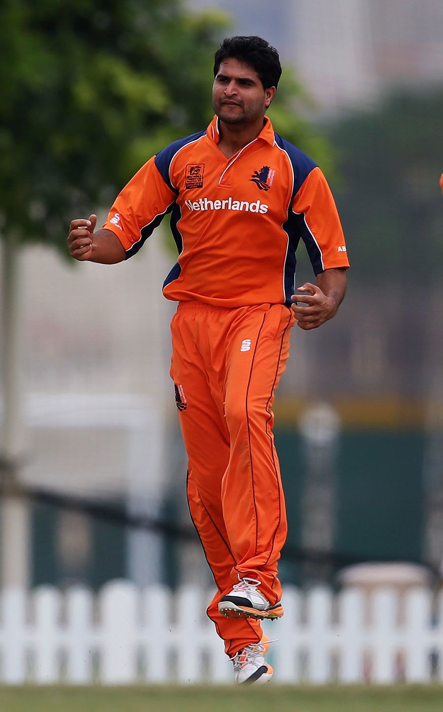 Mudassar Bukhari exults after a wicket
